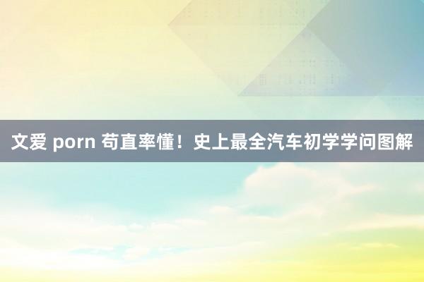文爱 porn 苟直率懂！史上最全汽车初学学问图解