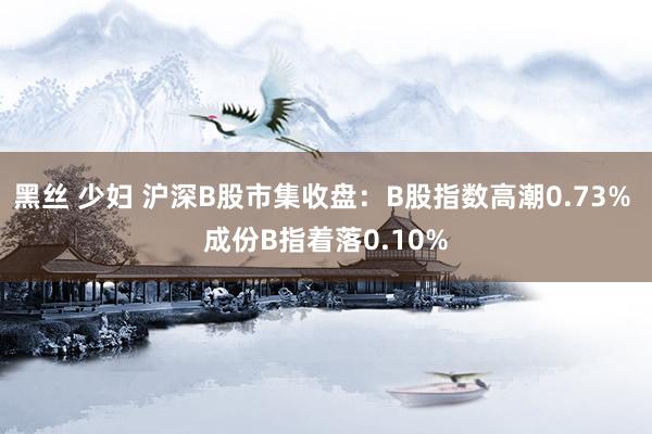 黑丝 少妇 沪深B股市集收盘：B股指数高潮0.73% 成份B指着落0.10%