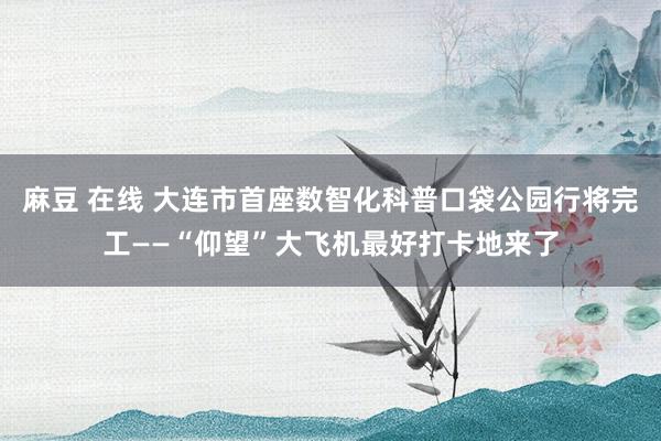 麻豆 在线 大连市首座数智化科普口袋公园行将完工——“仰望”大飞机最好打卡地来了