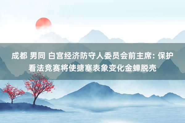 成都 男同 白宫经济防守人委员会前主席: 保护看法竞赛将使搪塞表象变化金蝉脱壳
