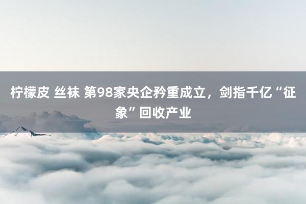 柠檬皮 丝袜 第98家央企矜重成立，剑指千亿“征象”回收产业