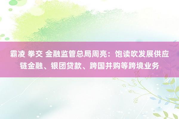 霸凌 拳交 金融监管总局周亮：饱读吹发展供应链金融、银团贷款、跨国并购等跨境业务