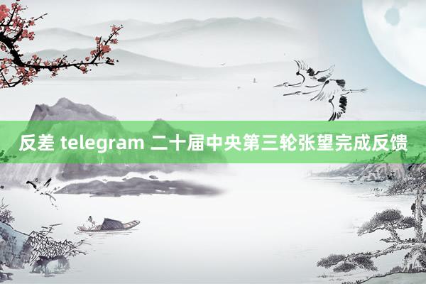 反差 telegram 二十届中央第三轮张望完成反馈
