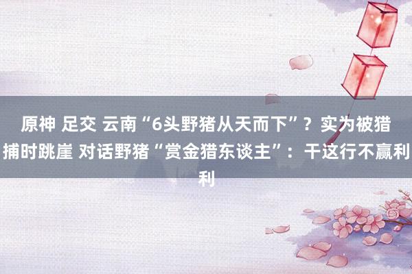 原神 足交 云南“6头野猪从天而下”？实为被猎捕时跳崖 对话野猪“赏金猎东谈主”：干这行不赢利