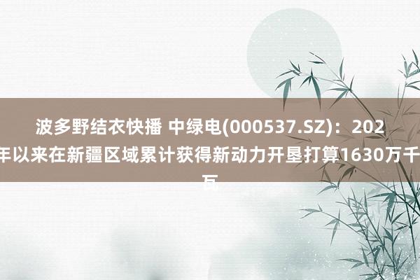 波多野结衣快播 中绿电(000537.SZ)：2024年以来在新疆区域累计获得新动力开垦打算1630万千瓦