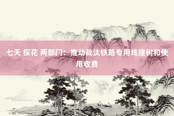 七天 探花 两部门：推动裁汰铁路专用线建树和使用收费