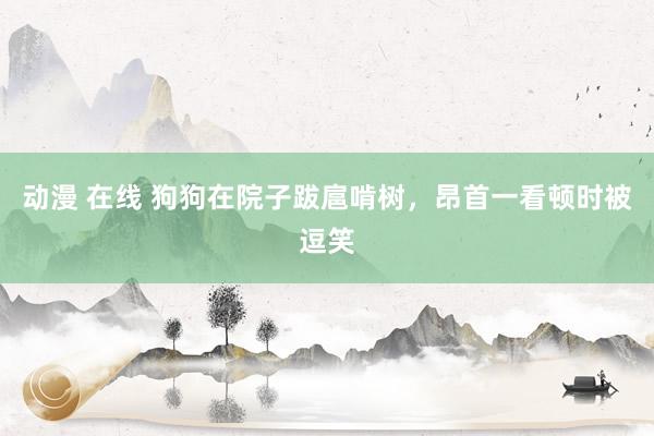 动漫 在线 狗狗在院子跋扈啃树，昂首一看顿时被逗笑