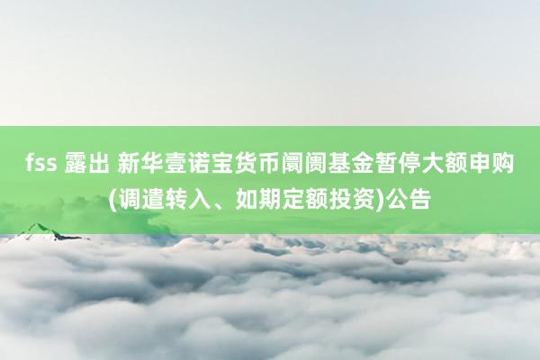 fss 露出 新华壹诺宝货币阛阓基金暂停大额申购(调遣转入、如期定额投资)公告