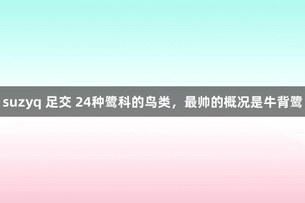 suzyq 足交 24种鹭科的鸟类，最帅的概况是牛背鹭