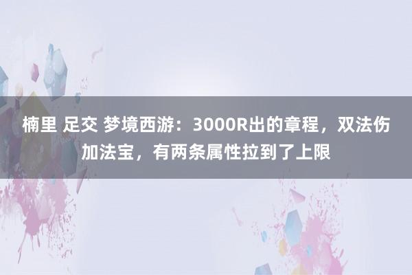 楠里 足交 梦境西游：3000R出的章程，双法伤加法宝，有两条属性拉到了上限