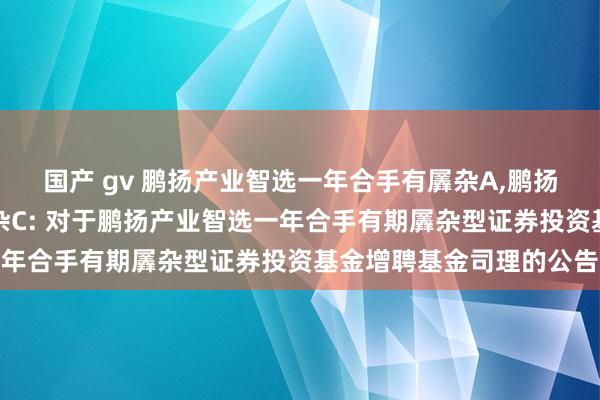 国产 gv 鹏扬产业智选一年合手有羼杂A,鹏扬产业智选一年合手有羼杂C: 对于鹏扬产业智选一年合手有期羼杂型证券投资基金增聘基金司理的公告