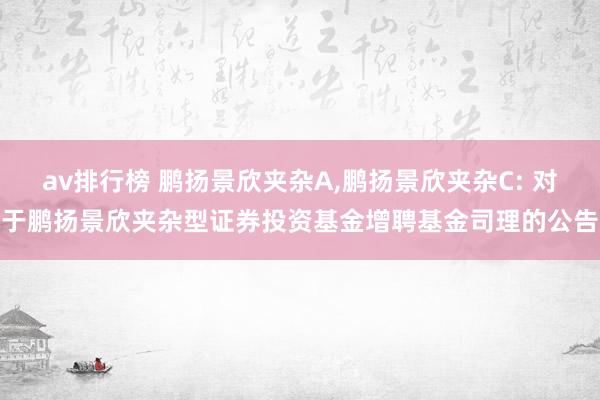 av排行榜 鹏扬景欣夹杂A,鹏扬景欣夹杂C: 对于鹏扬景欣夹杂型证券投资基金增聘基金司理的公告