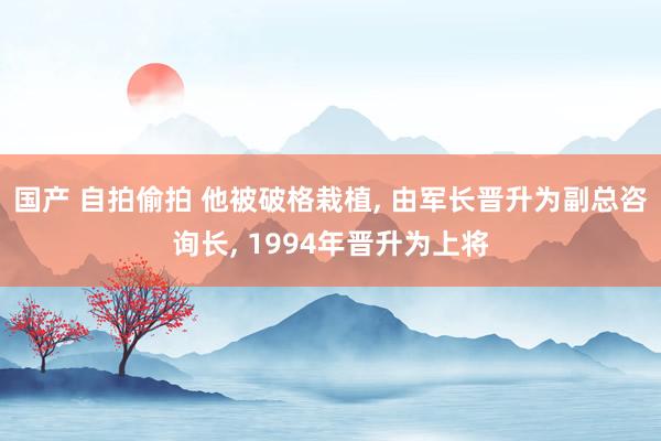 国产 自拍偷拍 他被破格栽植， 由军长晋升为副总咨询长， 1994年晋升为上将
