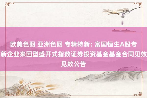 欧美色图 亚洲色图 专精特新: 富国恒生A股专精特新企业来回型盛开式指数证券投资基金基金合同见效公告