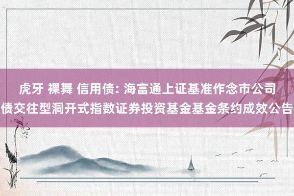 虎牙 裸舞 信用债: 海富通上证基准作念市公司债交往型洞开式指数证券投资基金基金条约成效公告