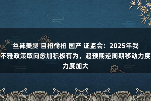 丝袜美腿 自拍偷拍 国产 证监会：2025年我国宏不雅政策取向愈加积极有为，超预期逆周期移动力度加大