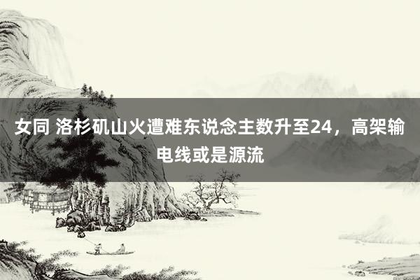 女同 洛杉矶山火遭难东说念主数升至24，高架输电线或是源流