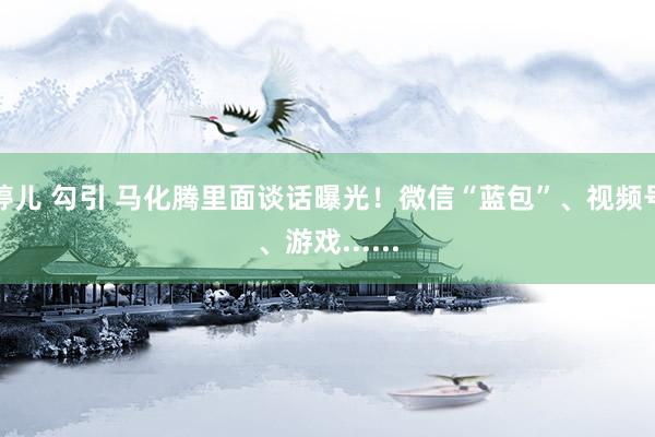 婷儿 勾引 马化腾里面谈话曝光！微信“蓝包”、视频号、游戏......