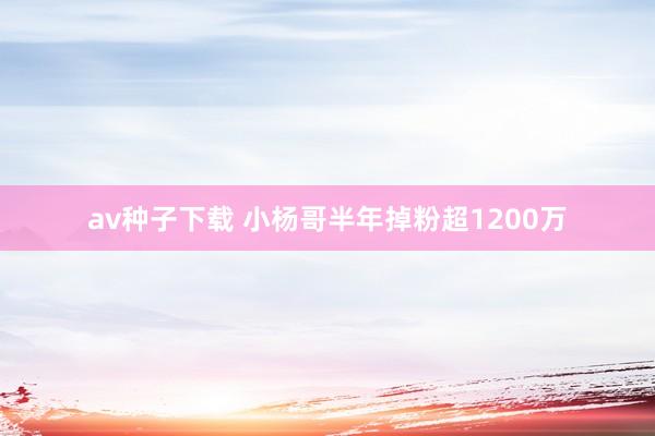av种子下载 小杨哥半年掉粉超1200万