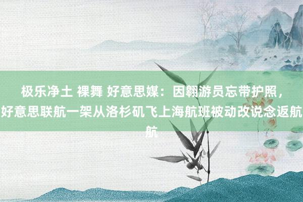 极乐净土 裸舞 好意思媒：因翱游员忘带护照，好意思联航一架从洛杉矶飞上海航班被动改说念返航