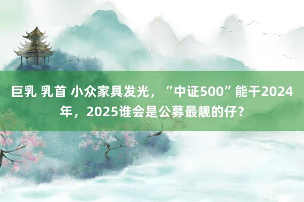 巨乳 乳首 小众家具发光，“中证500”能干2024年，2025谁会是公募最靓的仔？