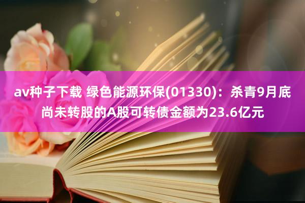 av种子下载 绿色能源环保(01330)：杀青9月底尚未转股的A股可转债金额为23.6亿元