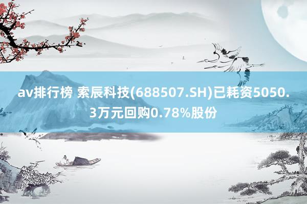 av排行榜 索辰科技(688507.SH)已耗资5050.3万元回购0.78%股份