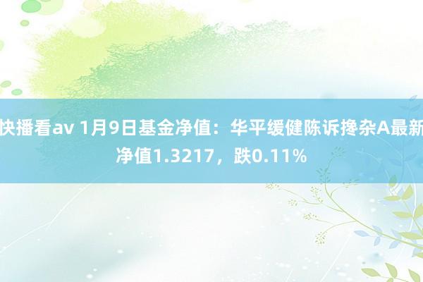 快播看av 1月9日基金净值：华平缓健陈诉搀杂A最新净值1.3217，跌0.11%