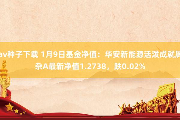 av种子下载 1月9日基金净值：华安新能源活泼成就羼杂A最新净值1.2738，跌0.02%