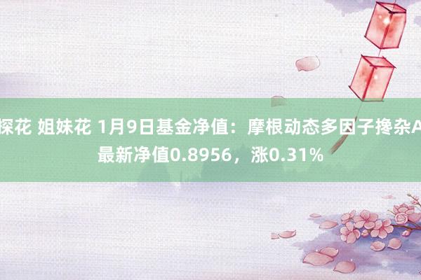 探花 姐妹花 1月9日基金净值：摩根动态多因子搀杂A最新净值0.8956，涨0.31%