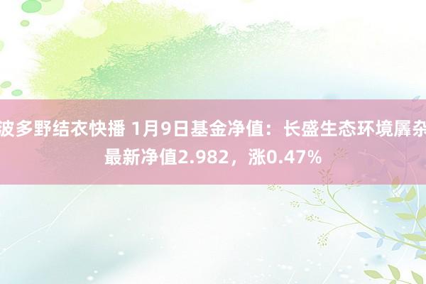 波多野结衣快播 1月9日基金净值：长盛生态环境羼杂最新净值2.982，涨0.47%