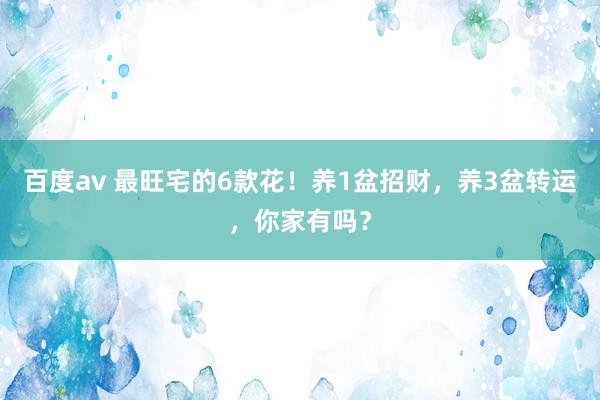 百度av 最旺宅的6款花！养1盆招财，养3盆转运，你家有吗？