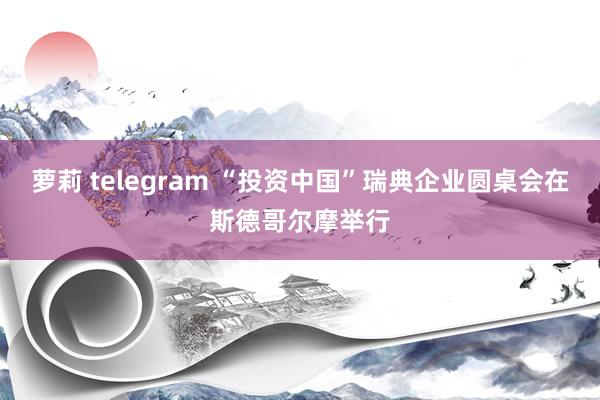 萝莉 telegram “投资中国”瑞典企业圆桌会在斯德哥尔摩举行