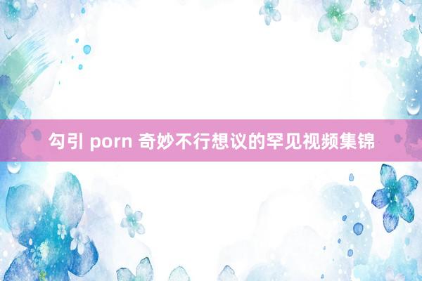 勾引 porn 奇妙不行想议的罕见视频集锦