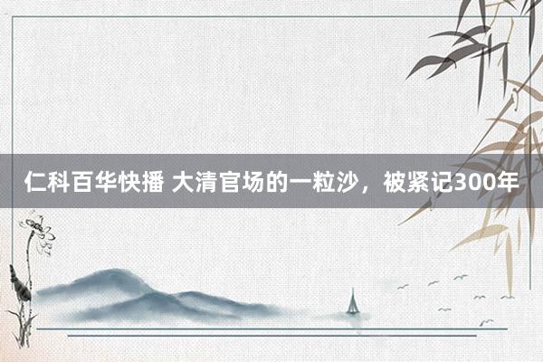 仁科百华快播 大清官场的一粒沙，被紧记300年