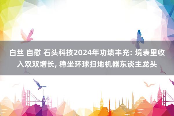 白丝 自慰 石头科技2024年功绩丰充: 境表里收入双双增长， 稳坐环球扫地机器东谈主龙头