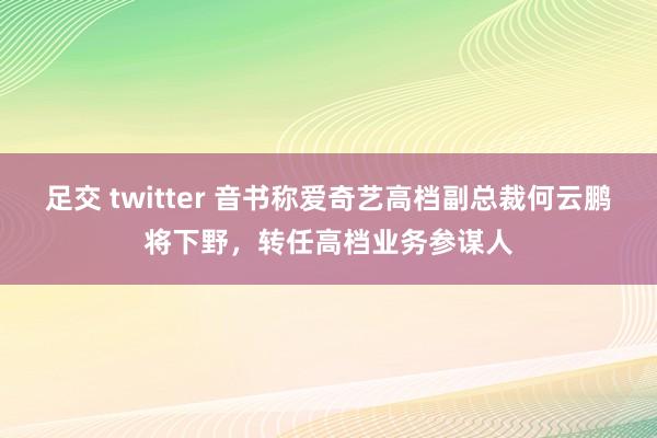 足交 twitter 音书称爱奇艺高档副总裁何云鹏将下野，转任高档业务参谋人