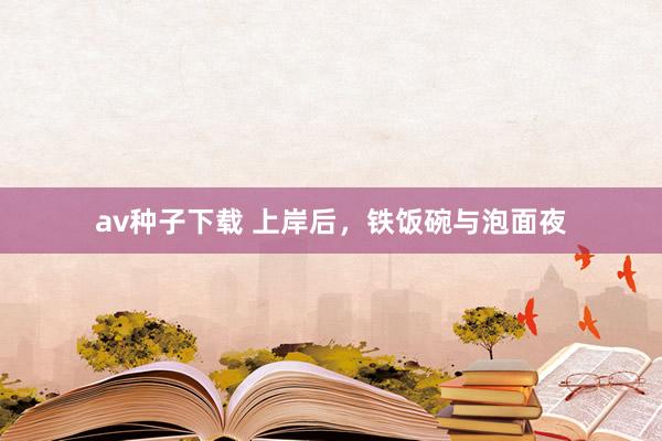 av种子下载 上岸后，铁饭碗与泡面夜