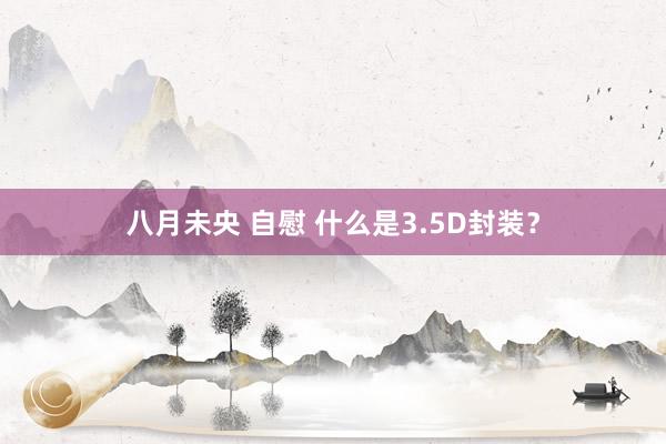 八月未央 自慰 什么是3.5D封装？