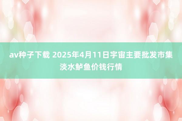 av种子下载 2025年4月11日宇宙主要批发市集淡水鲈鱼价钱行情