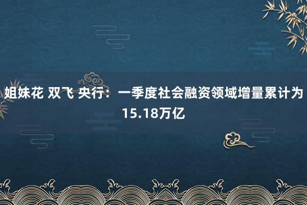 姐妹花 双飞 央行：一季度社会融资领域增量累计为15.18万亿