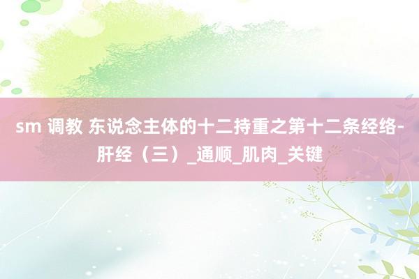 sm 调教 东说念主体的十二持重之第十二条经络-肝经（三）_通顺_肌肉_关键