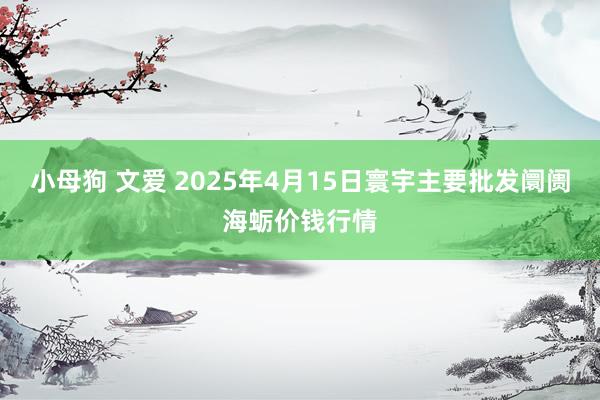 小母狗 文爱 2025年4月15日寰宇主要批发阛阓海蛎价钱行情