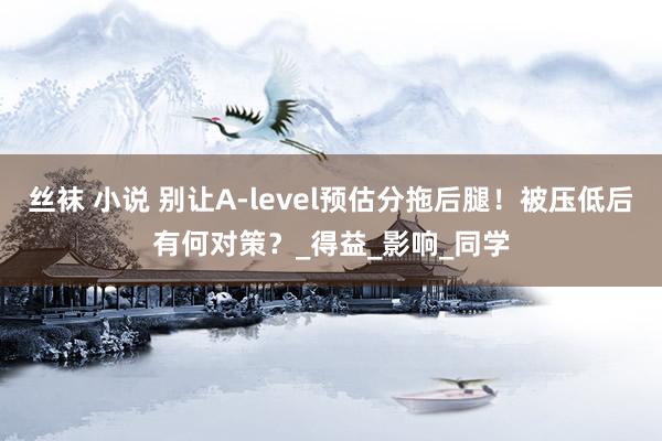 丝袜 小说 别让A-level预估分拖后腿！被压低后有何对策？_得益_影响_同学