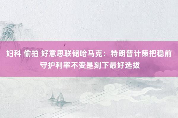 妇科 偷拍 好意思联储哈马克：特朗普计策把稳前 守护利率不变是刻下最好选拔