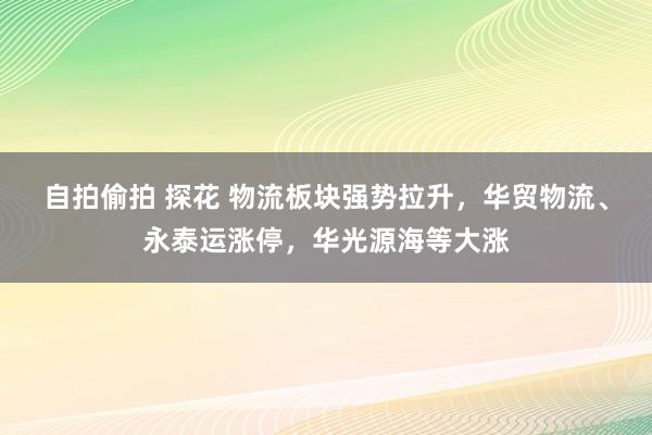 自拍偷拍 探花 物流板块强势拉升，华贸物流、永泰运涨停，华光源海等大涨