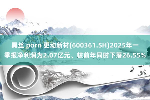 黑丝 porn 更动新材(600361.SH)2025年一季报净利润为2.07亿元、较前年同时下落26.55%