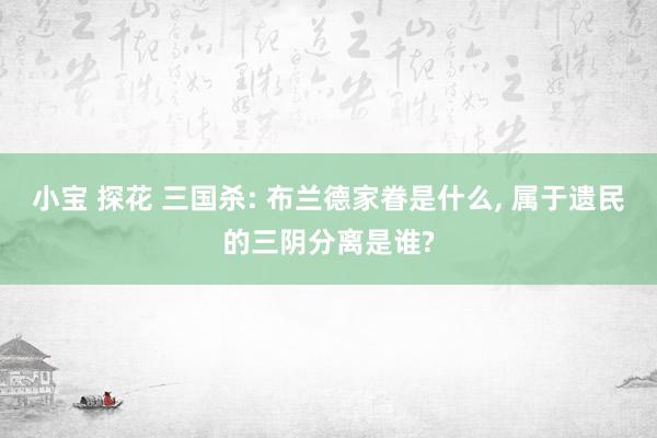小宝 探花 三国杀: 布兰德家眷是什么， 属于遗民的三阴分离是谁?