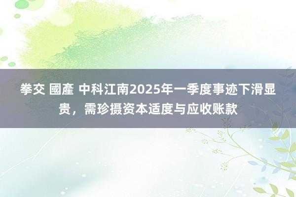 拳交 國產 中科江南2025年一季度事迹下滑显贵，需珍摄资本适度与应收账款